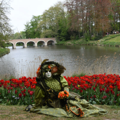 Parade Venetiaanse kostuums op Floralia Brussels