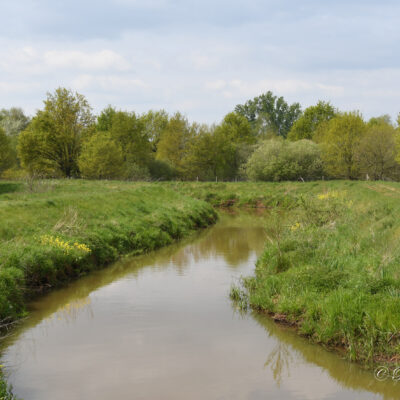 De Grote Laak is een onbevaarbare zijrivier van de Grote Nete. De waterloop staat bekend als een van de sterkst vervuilde rivieren van Vlaanderen. Tezamen met de zijbeek Kleine Laak gaf deze rivier zijn naam aan de Antwerpse gemeente Laakdal. De Grote Laak heeft een lengte van 29,7 km.  De Grote Laak ontspringt als 'Grote Beek' op het militair oefenterrein van Beverlo, net als de Zwarte Beek, een van de meest waardevolle beekvalleien in Vlaanderen. De Grote Beek stroomt ten noorden van het dorp Beverlo, wordt onder het Albertkanaal geleid en passeert vervolgens langs het bedrijf Tessenderlo Chemie. Vanaf de passage ten noorden van het dorp Tessenderlo, waarbij de Grote Beek samenvloeit met de Kleine Beek wordt de beek als 'Grote Laak' aangeduid. De Grote Laak loopt vervolgens ten zuiden van Vorst en ten noorden van Veerle. Tussen Veerle en Zammel stroomt de Kleine Laak in de Grote Laak. Wat verder in Zammel vervoegt ze de Grote Nete. De Laak is vooral vervuild met zware metalen als arsenicum en cadmium en chloriden, waarvan de grootste vervuiling afkomstig is van Tessenderlo Chemie in Ham. De Openbare Vlaamse Afvalstoffenmaatschappij (OVAM) voerde oriënterende bodemonderzoeken uit in de Grote Laak op het traject van Tessenderlo Chemie tot aan de monding in de Grote Nete. 