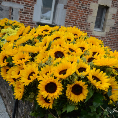 Fleuramour Alden-Biesen