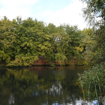 Fortentocht Wommelgem