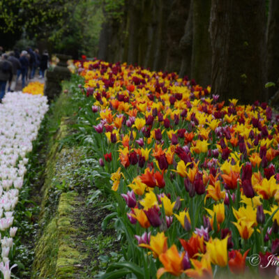 Floralia Brussels Kasteel Groot-Bijgaarden