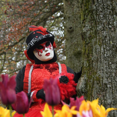 Venetiaanse kostuums op Floralia Brussels