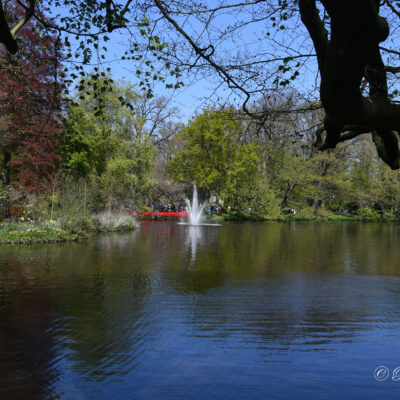 Keukenhof