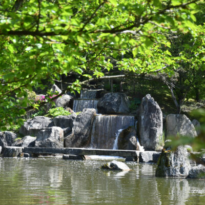 Japanse tuin Hasselt