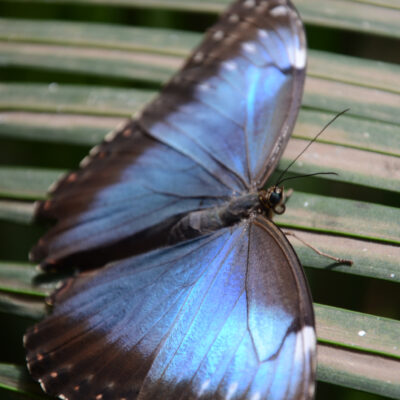 Zoo Antwerpen