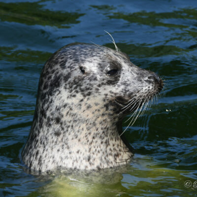 Zoo Antwerpen