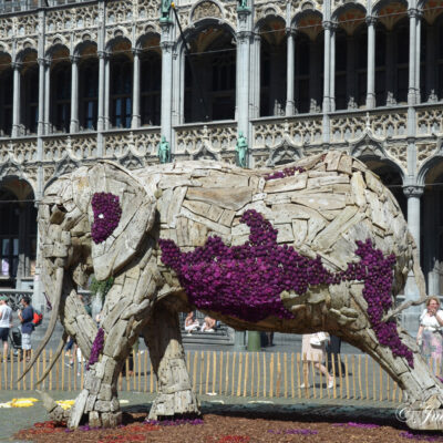 Flower time Brussel