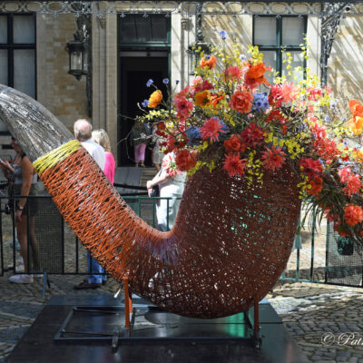 Flower time Brussel