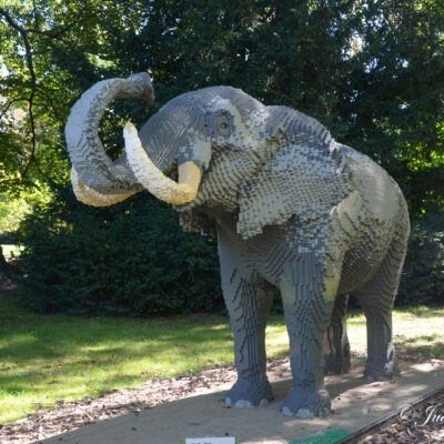 Brick Safari Zoo Planckendael