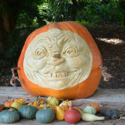 Pumpkimania Kasteel Groot-Bijgaarden