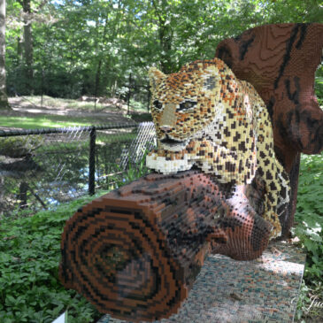 Brick safari