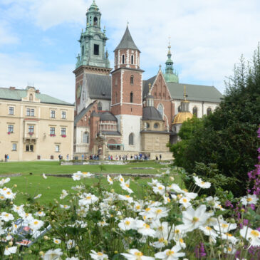 WAWEL