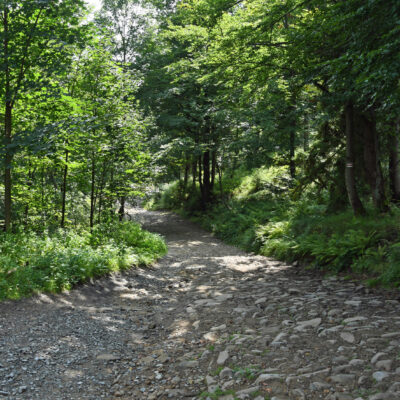 Wandelen aan de bron van de Wisla