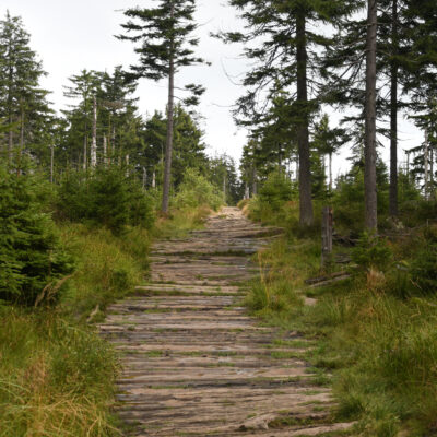 Wandelen aan de bron van de Wisla