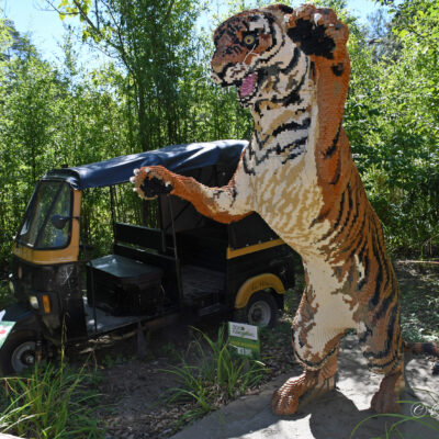 Brick Safari Zoo Planckendael