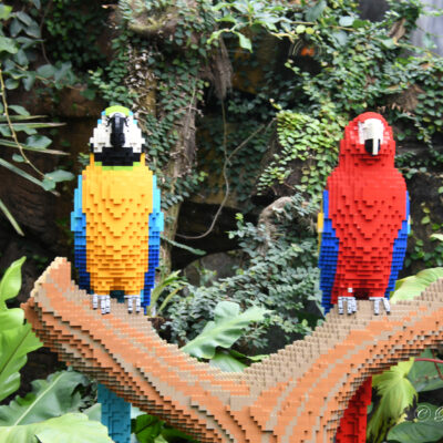 Brick Safari Zoo Planckendael