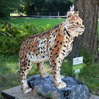 Brick Safari Zoo Planckendael