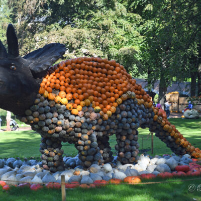 Pumpkimania Kasteel Groot-Bijgaarden