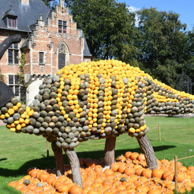 Parasaulorophus Dinosaurus
Pumpkimania Kasteel Groot-Bijgaarden