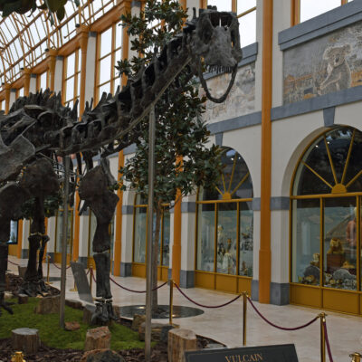 Vulcain, gigantisch skelet van een Apatosaurus
