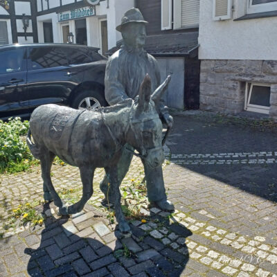 In de 18e en 19e eeuw werden in Brilon ongewoon veel ezels gehouden. De inwoners van naburige dorpen bespotten de Briloners dan ook met de bijnaam Ezel. De ezels werden gebruikt als paarden om wagens en sleeën te trekken, of brandhout en andere lasten werden op hun rug gedragen. Ontoereikende wegen in de omgeving waren niet geschikt voor vervoer met paarden. In 1760, ten tijde van de Zevenjarige Oorlog, werden 110 ezels geteld, in 1777 waren dat er 181 en in 1837 waren er 223 dieren. Na 1850 nam de ezelhouderij aanzienlijk af als gevolg van een verbetering van de wegomstandigheden. 