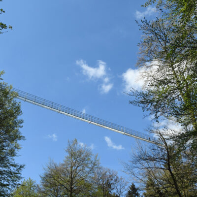 Met 665 meter is de Skywalk Willingen de langste hangbrug voor voetgangers in Duitsland en de op twee na langste hangbrug voor voetgangers ter wereld. Alleen de Luchtbrug 721 in Dolní Morava in Tsjechië en de Brug van Nationale Eenheid in Sátoraljaújhely, Hongarije, zijn langer.  De Skywalk bevindt zich aan de Mühlenkopfschanze in Willingen in het district Waldeck-Frankenberg in het noorden van Hessen en strekt zich uit van de Mühlenkopf tot de Musenberg. De bouw begon in 2022, met de officiële opening op 1 juli 2023. Bezoekers gebruiken meestal de kabelbaan naast de Mühlenkopfschanze om bij de vallei of de brug te komen. Vanaf de brug zijn het natuurgebied Grebensteine bij Willingen en het natuurgebied Alter Hagen bij Willingen direct naast de Skywalk zichtbaar.  De investeringskosten bedroegen 4,5 miljoen euro. De Skywalk werd gebouwd in Tibetaanse stijl. De lengte van de brug is 665 meter en het hoogste punt ligt 100 meter boven de grond. Het totale gewicht is 125 ton.  De twee portaalsteunen werden met 46 anker- en boorpalen aan de grond verankerd, waarbij het langste anker een diepte van 24 meter bereikte. In het geval van een sterke storm moeten hydraulische cilinders de brug in- en uitklappen, zodat deze niet zo sterk in de wind zwaait.  Bij windsnelheden van meer dan 80 km/u wordt de hangbrug gesloten.   De Skywalk, waarvoor een vergoeding moet worden betaald, is het hele jaar door geopend van 9 uur tot 9 uur, alleen bij ongunstige weersomstandigheden is het gesloten. Kinderwagens, rolstoelen, fietsen en huisdieren zijn niet toegestaan op de brug. Er mogen maximaal 700 mensen op de brug zijn, die wordt gecontroleerd door een ticketsysteem.  